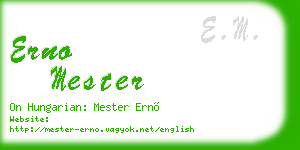 erno mester business card